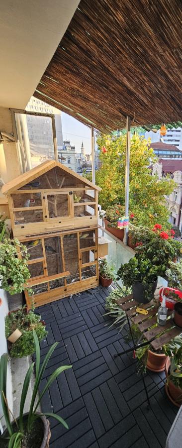 Slika 11 - Dvosoban stan na prodaju, 52m2, 156.000€