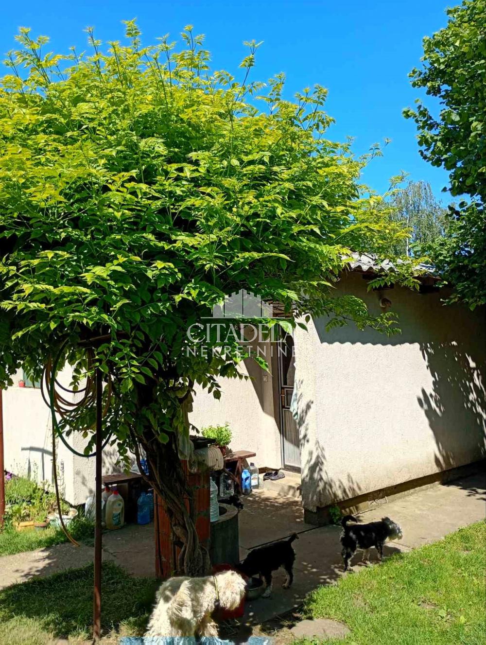 Slika 6 - Sremskih partizana,  Kuća na prodaju, 225m2, 351.000€