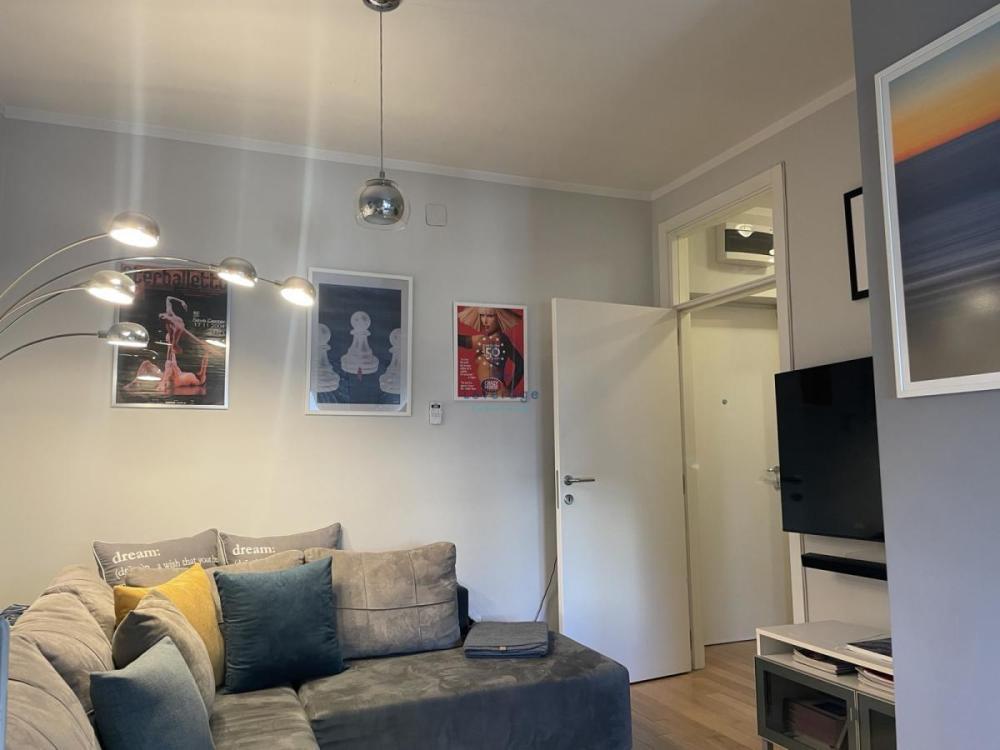 Glavna slika -Cara Lazara, Jednoiposoban stan za izdavanje, 45m2, 850€