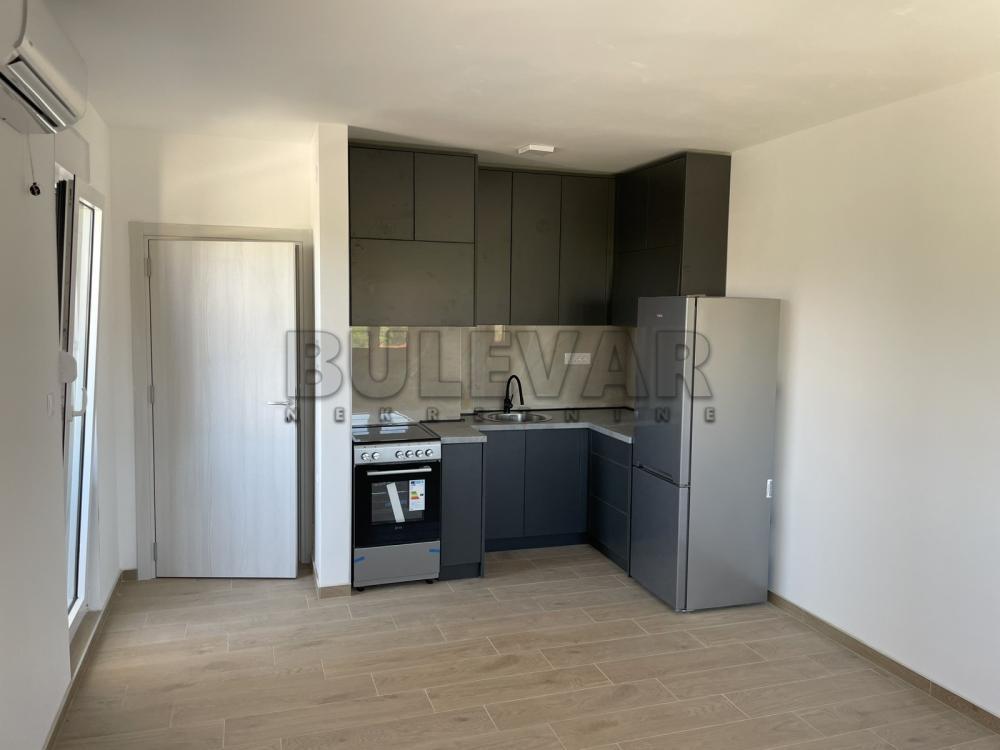 Glavna slika -Radoja Domanovića, Dvoiposoban stan za izdavanje, 60m2, 350€