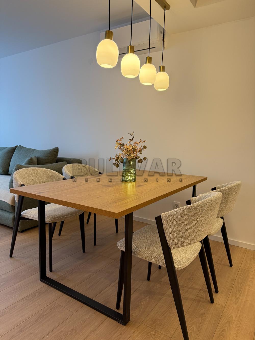 Slika 6 - Cara Dušana, Jednoiposoban stan za izdavanje, 52m2, 550€