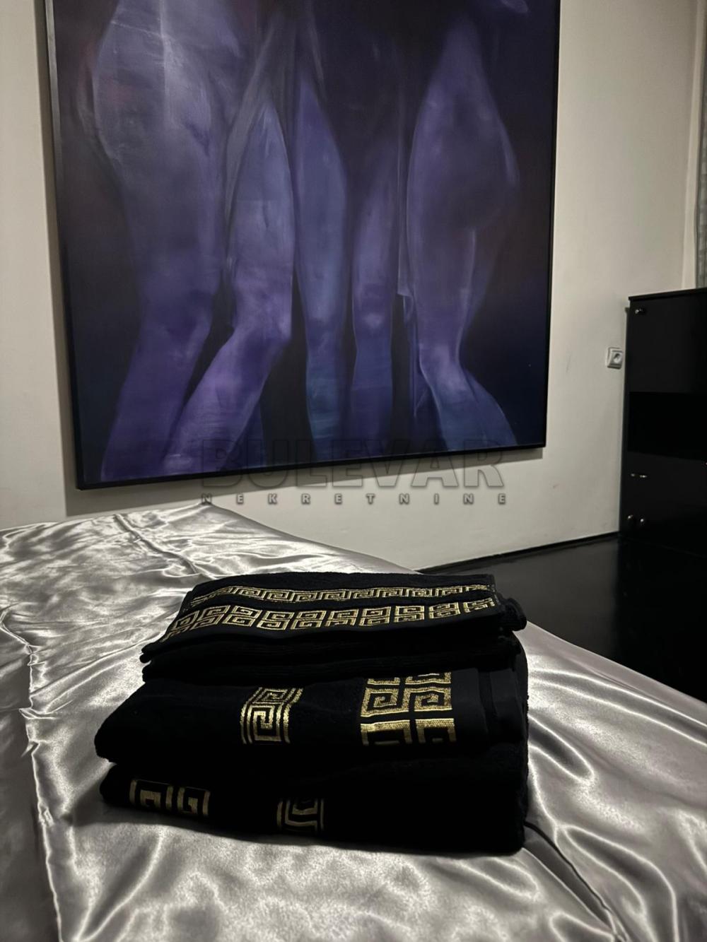 Slika 7 - Generala Milojka Lešjanina, Dvosoban stan za izdavanje, 74m2, 500€