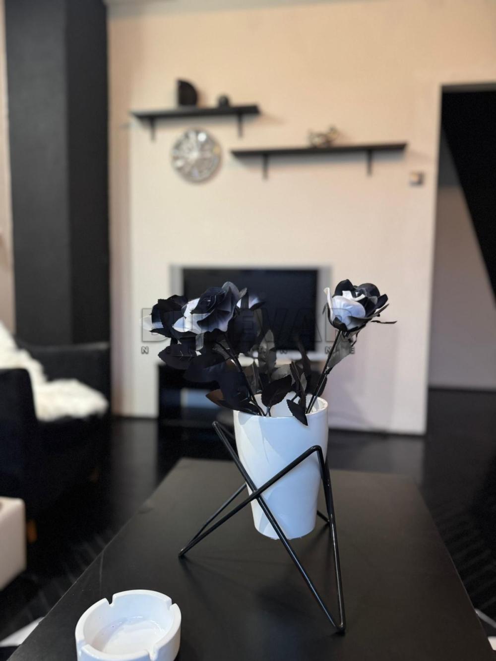 Slika 5 - Generala Milojka Lešjanina, Dvosoban stan za izdavanje, 74m2, 500€