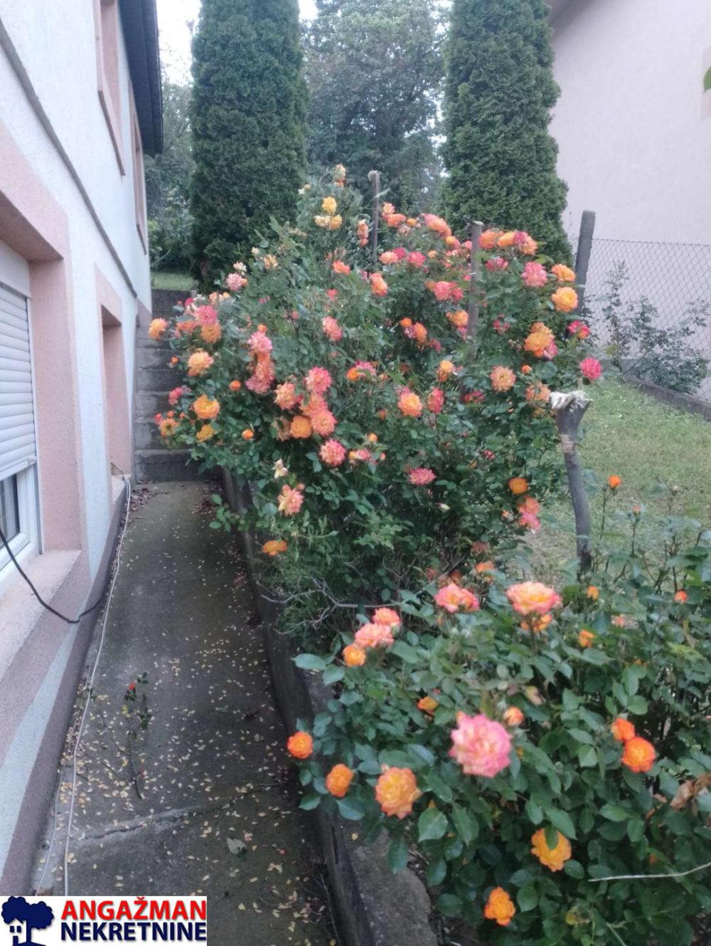 Slika 2 - Preradovićeva,  Kuća na prodaju, 341m2, 370.000€