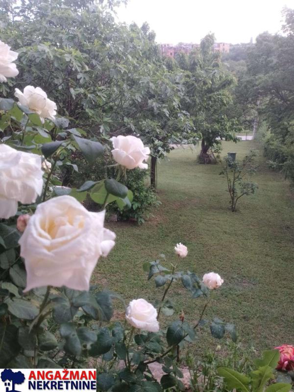 Slika 5 - Preradovićeva,  Kuća na prodaju, 341m2, 370.000€