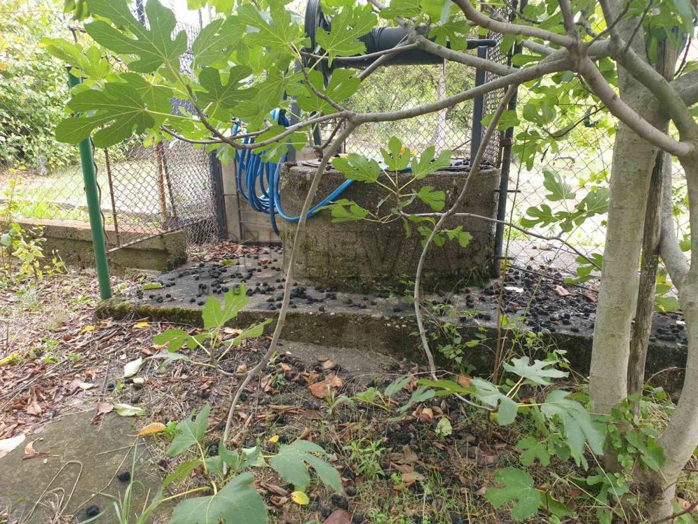 Glavna slika oglasa 373843