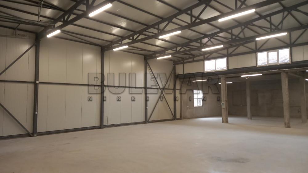 Glavna slika -Ivana Milutinovića,  Lokal za izdavanje, 560m2, 1.700€