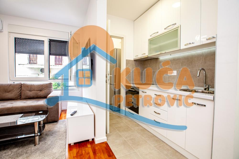 Slika 5 - Koste Stamenkovića, Dvoiposoban stan za izdavanje, 49m2, 500€