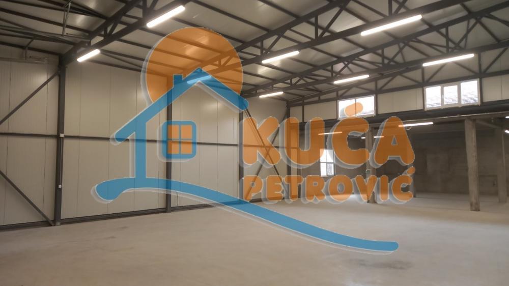 Glavna slika -Ivana Milutinovića,  Lokal za izdavanje, 560m2, 1.700€