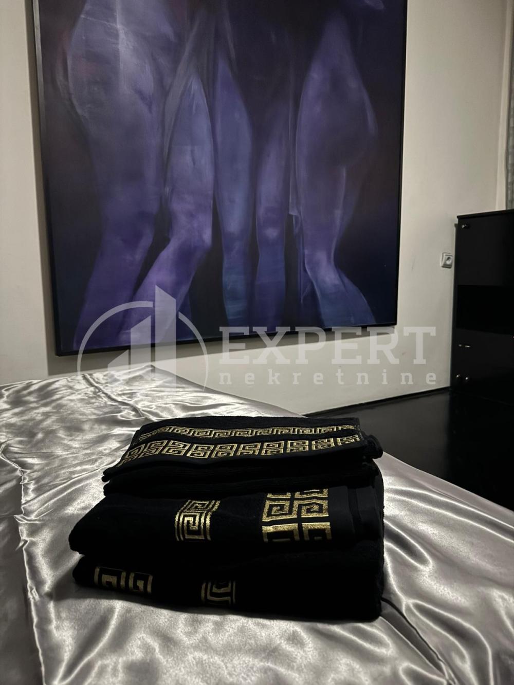 Slika 7 - Generala Milojka Lešjanina, Dvosoban stan za izdavanje, 74m2, 500€