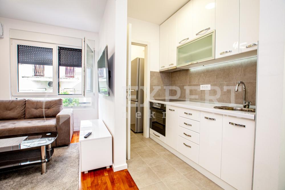 Slika 5 - Koste Stamenkovića, Dvoiposoban stan za izdavanje, 49m2, 500€