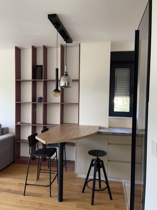 Slika 1 - Ledinacka, Dvosoban stan za izdavanje, 48m2, 700€