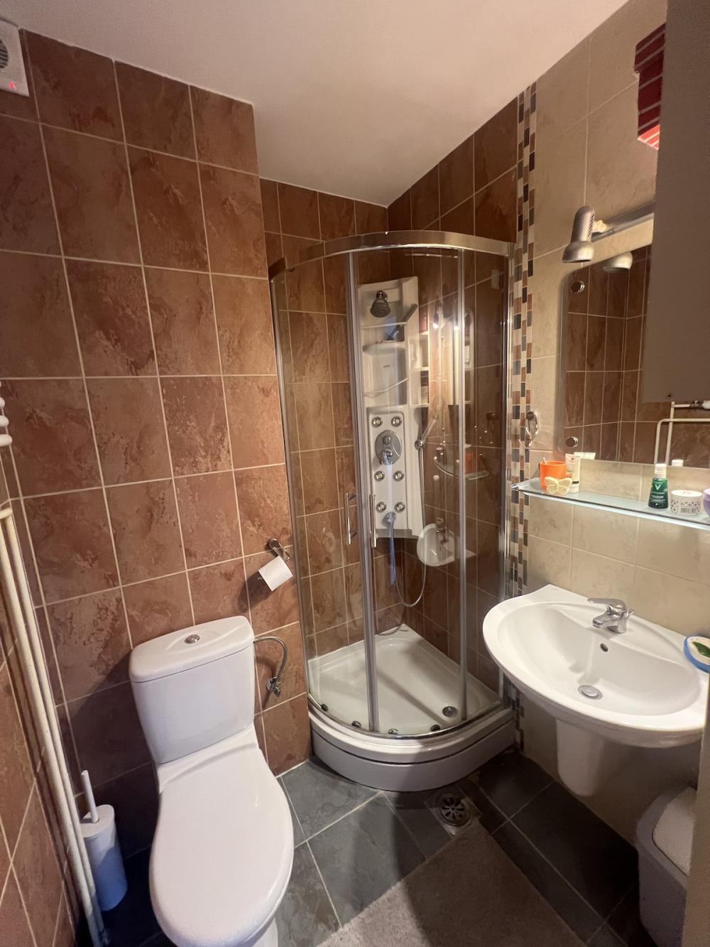 Slika 11 - Pozarevacka, Troiposoban stan za izdavanje, 120m2, 1.400€