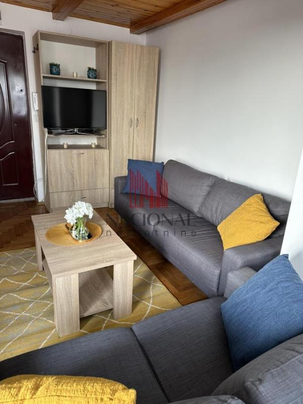 Glavna slika -MIŠE DIMITRIJEVIĆA, Jednosoban stan za izdavanje, 30m2, 300€