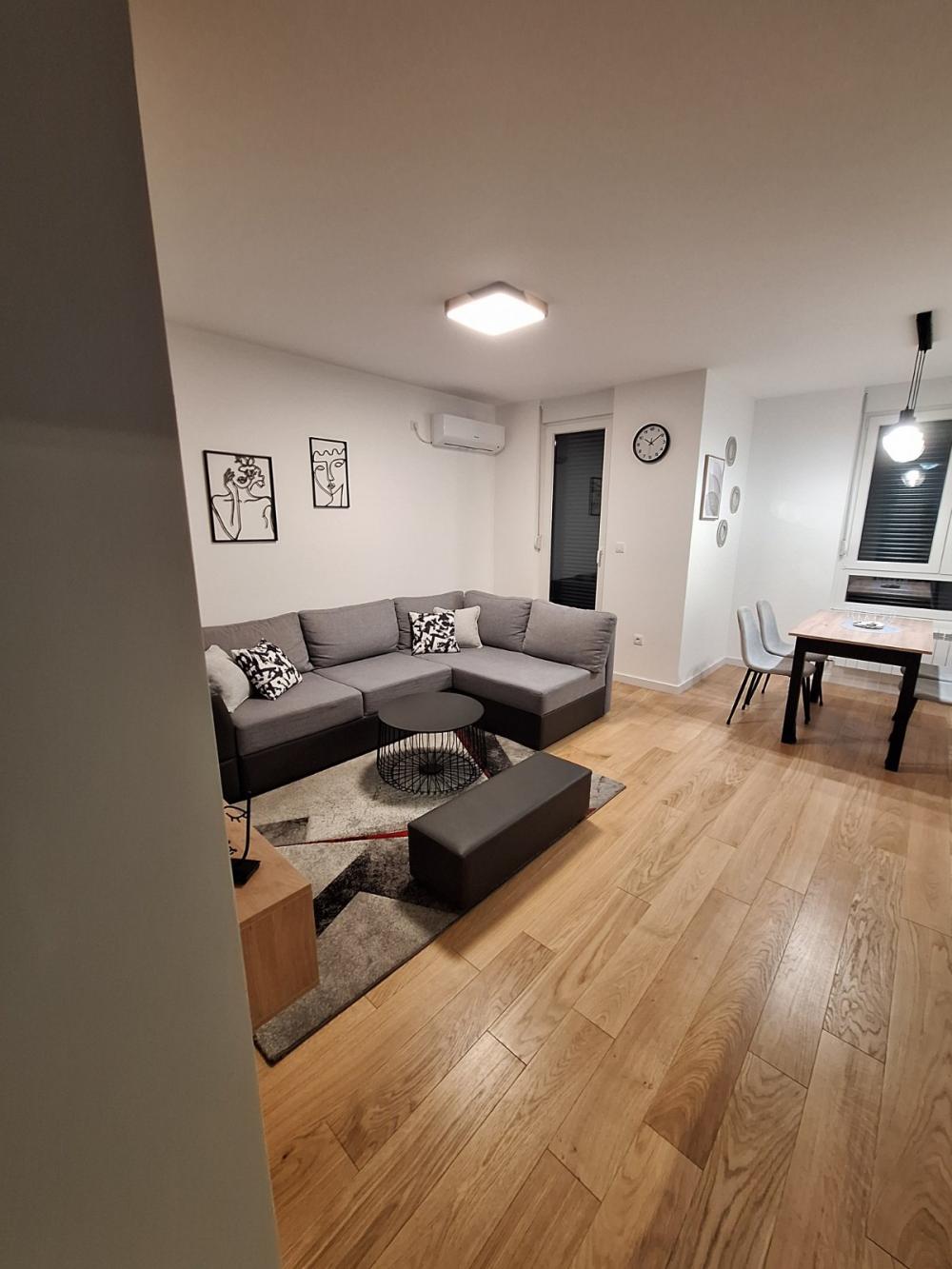 Slika 2 - Živojina Žujovića, Dvosoban stan za izdavanje, 45m2, 700€