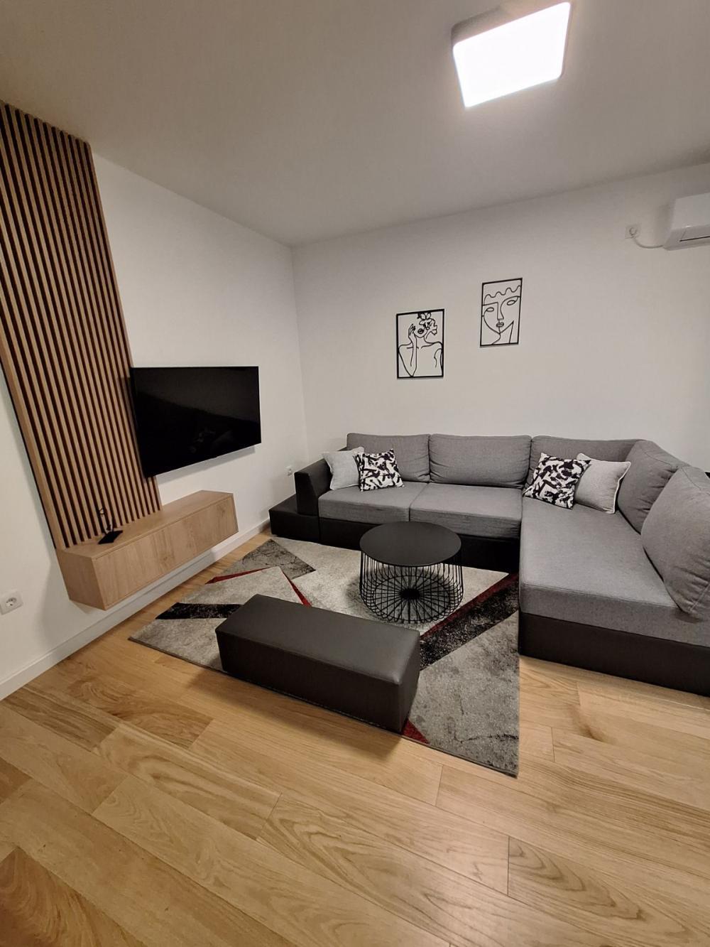 Glavna slika -Živojina Žujovića, Dvosoban stan za izdavanje, 45m2, 700€