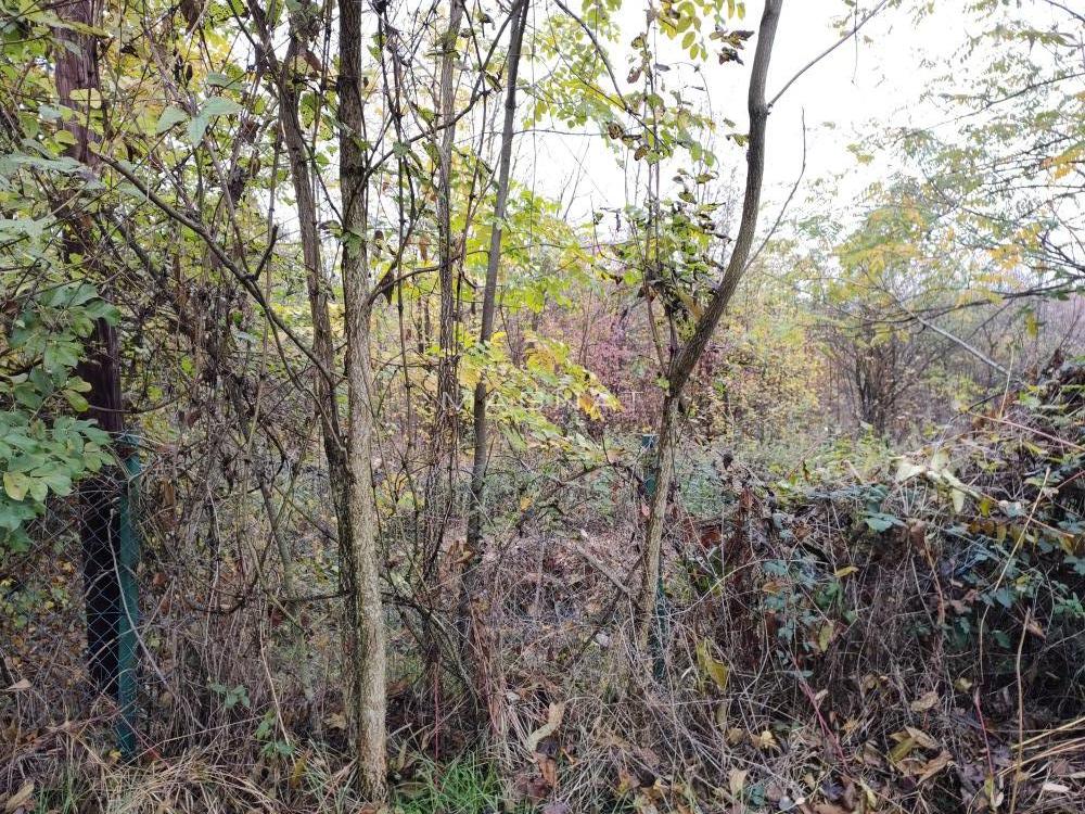 Slika 3 -  Plac na prodaju, Sopot, Kosmaj, 30.000€