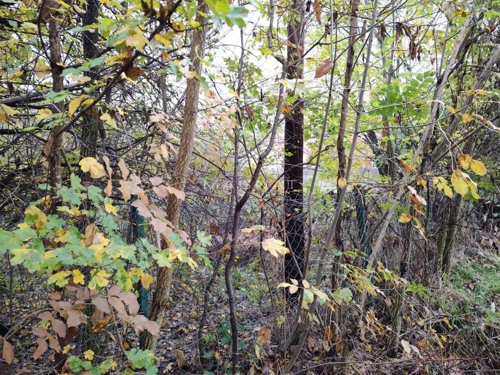 Slika 5 -  Plac na prodaju, Sopot, Kosmaj, 30.000€