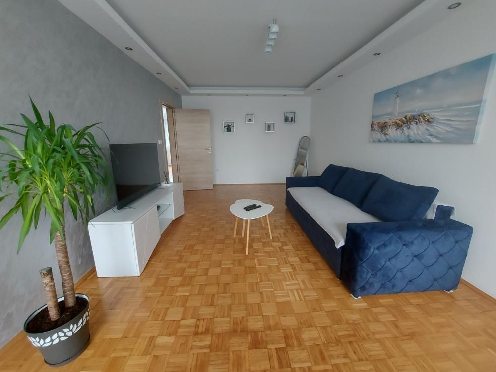 Glavna slika -Dr Ivana Ribara, Dvosoban stan za izdavanje, 70m2, 860€