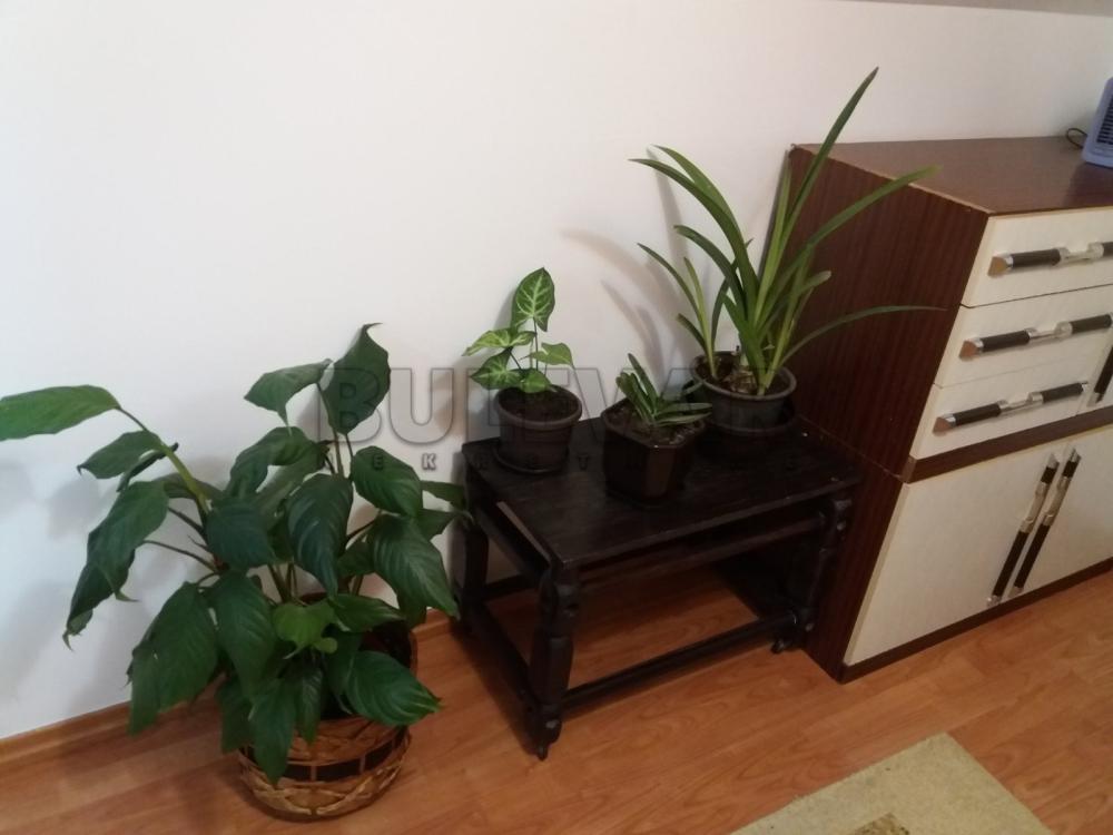 Slika 9 - Jablanička, Stan za izdavanje, 26m2, 200€