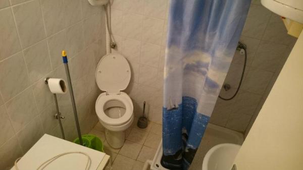 Slika 7 - Bulevar Zorana Đinđića, Jednosoban stan za izdavanje, 25m2, 330€