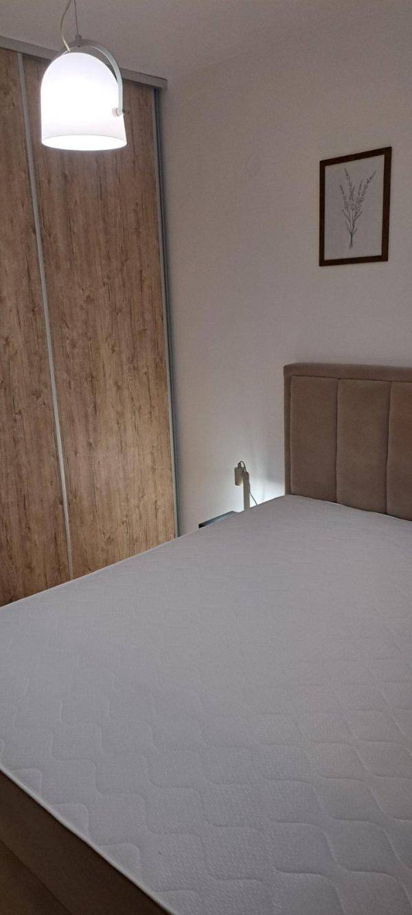 Slika 9 - Sinđelićeva, Dvosoban stan za izdavanje, 40m2, 700€