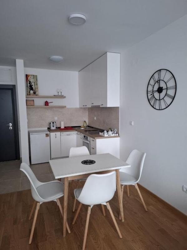 Glavna slika -Jednoiposoban stan za izdavanje, 45m2, 350€