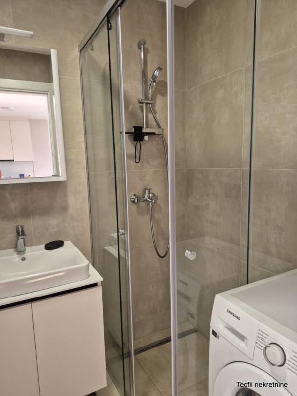 Slika 11 - Dragoslava Srejovića, Dvosoban stan za izdavanje, 51m2, 700€