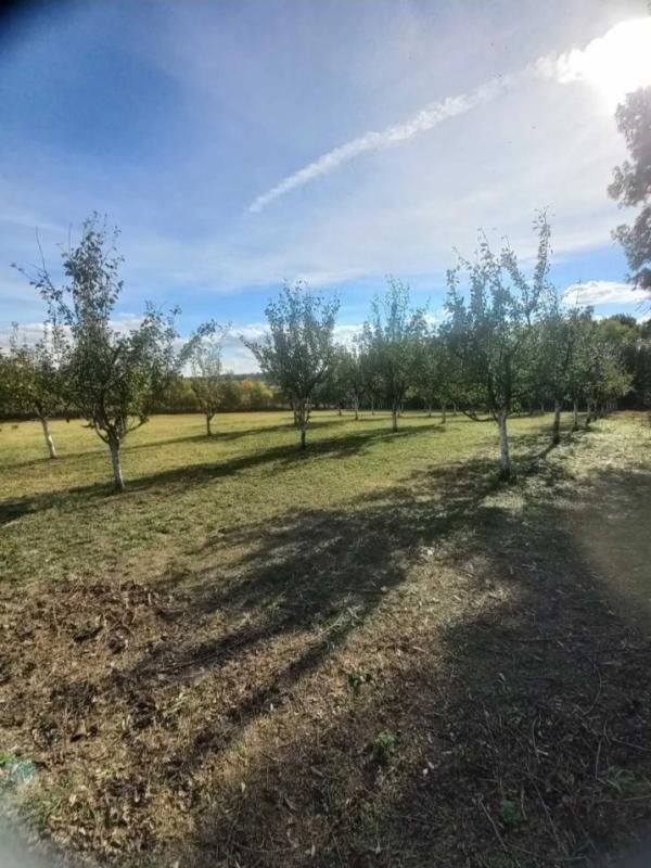 Slika 4 -  Plac na prodaju, Sopot, 64.000€