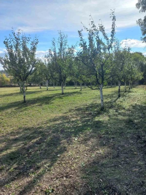 Slika 5 -  Plac na prodaju, Sopot, 64.000€