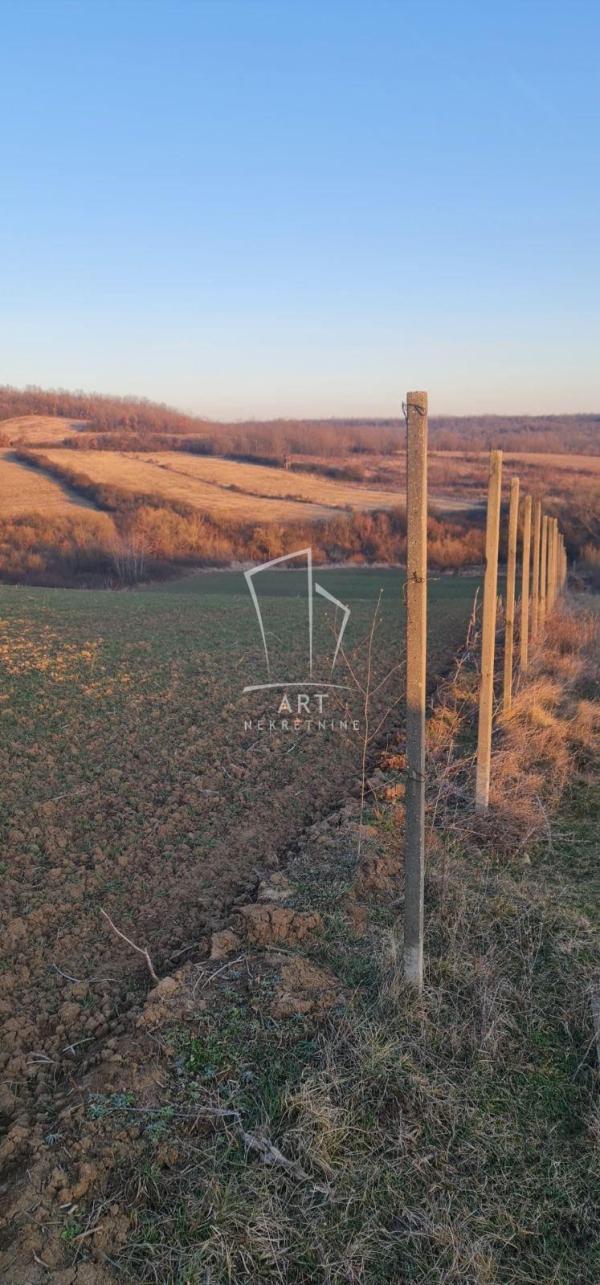 Slika 3 - Dese Marković Plac na prodaju, Sopot, Popović, 150.000€