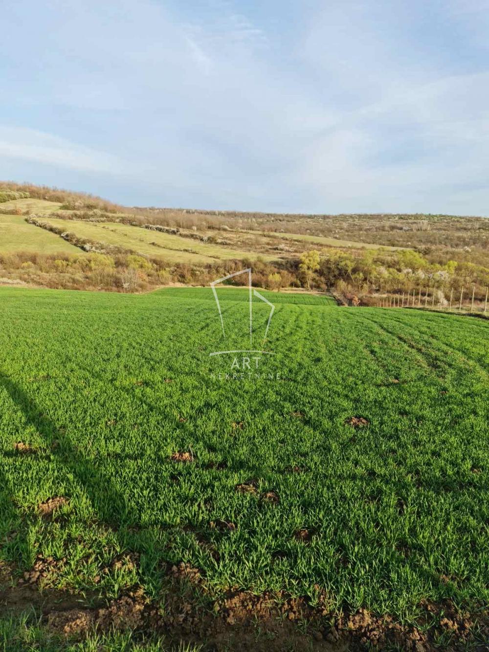 Slika 1 - Dese Marković Plac na prodaju, Sopot, Popović, 150.000€