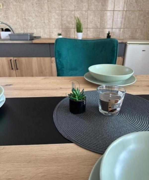 Slika 3 - Dušana Radovića, Jednoiposoban stan za izdavanje, 50m2, 500€