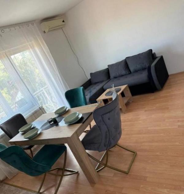 Glavna slika -Dušana Radovića, Jednoiposoban stan za izdavanje, 50m2, 500€