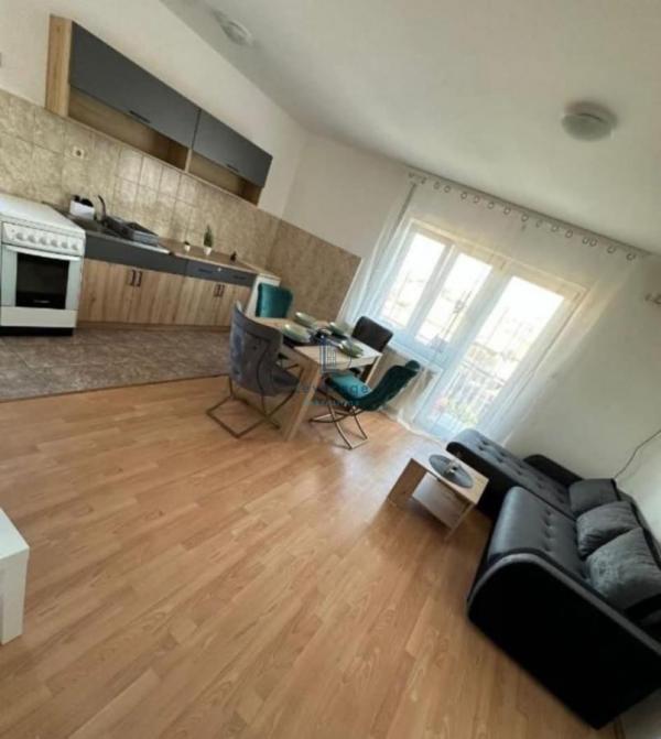 Slika 1 - Dušana Radovića, Jednoiposoban stan za izdavanje, 50m2, 500€