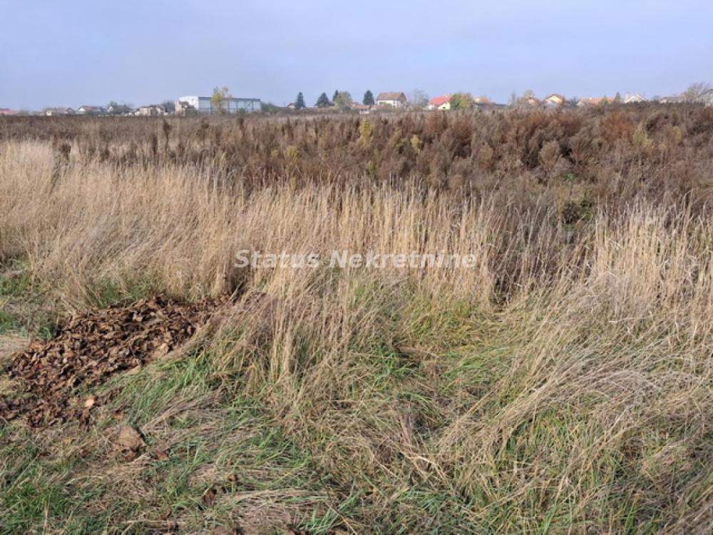 Slika 7 -  Plac na prodaju, Futog, , 57.000€