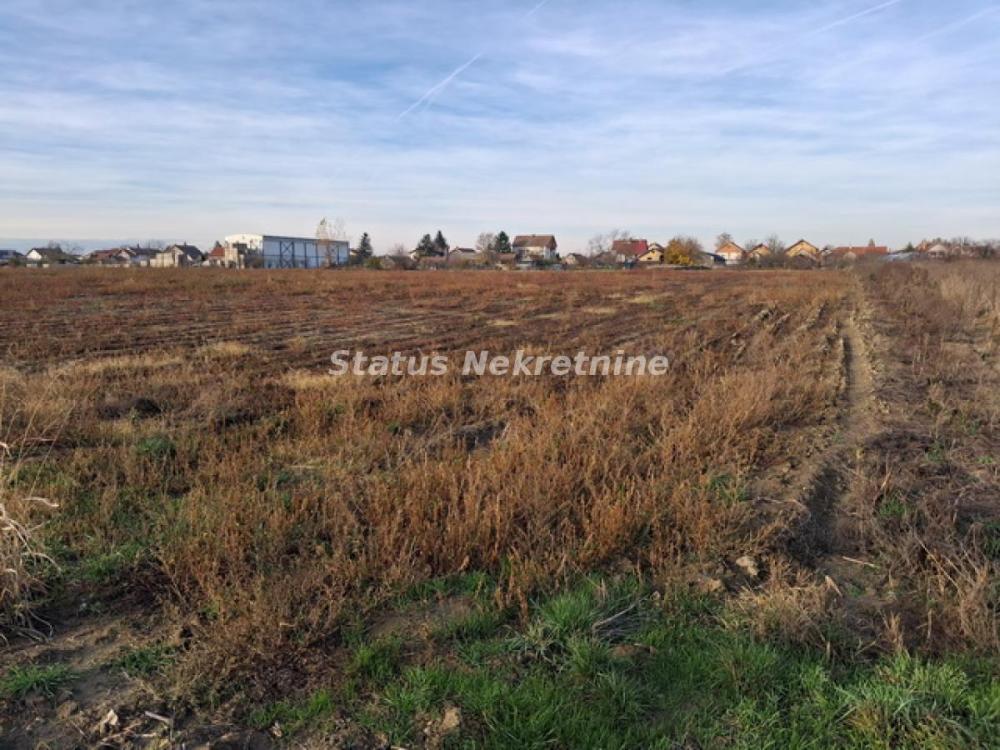 Slika 4 -  Plac na prodaju, Futog, , 57.000€