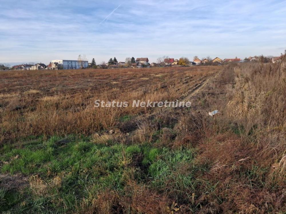 Slika 2 -  Plac na prodaju, Futog, , 57.000€