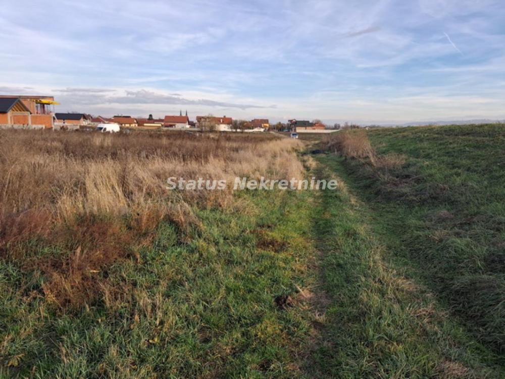 Slika 5 -  Plac na prodaju, Futog, , 57.000€