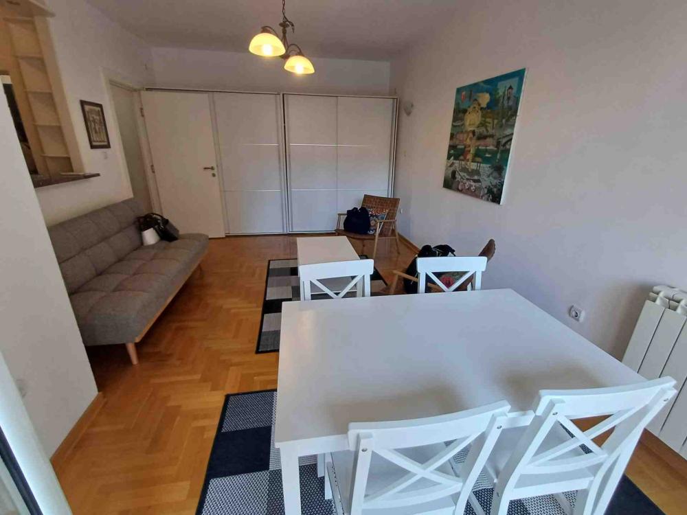 Slika 3 - Vojvode Stepe, Dvosoban stan za izdavanje, 47m2, 550€