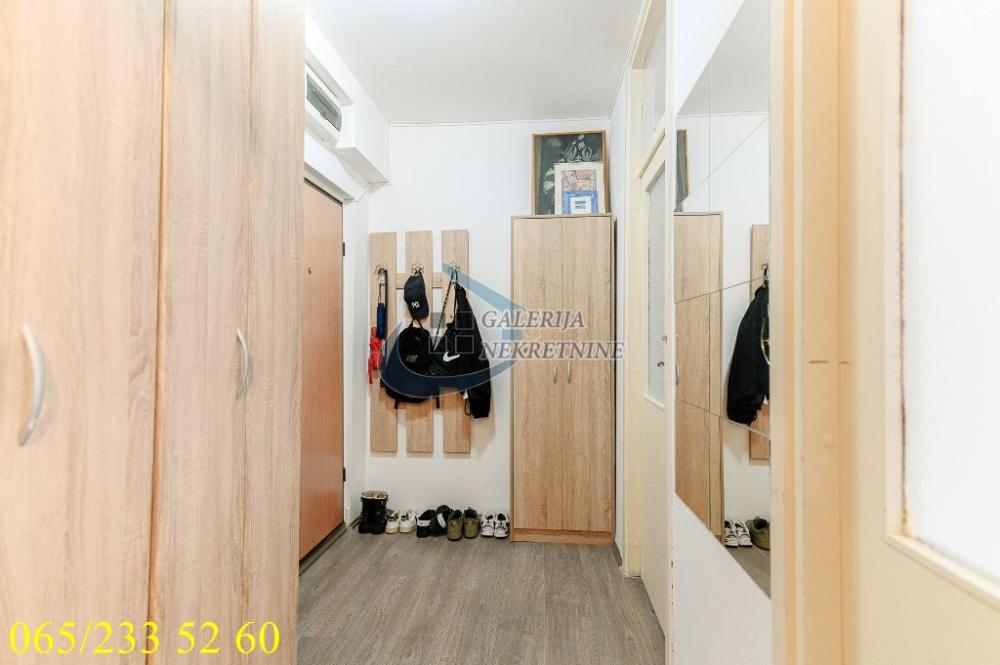 Slika 8 - Kneza Danila, Jednosoban stan za izdavanje, 36m2, 500€