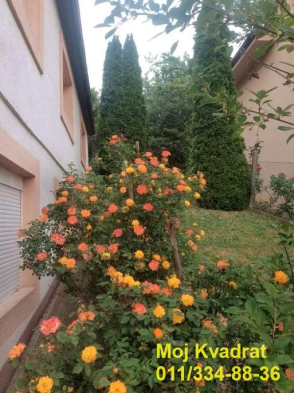 Slika 2 -  Kuća na prodaju, 341m2, 370.000€