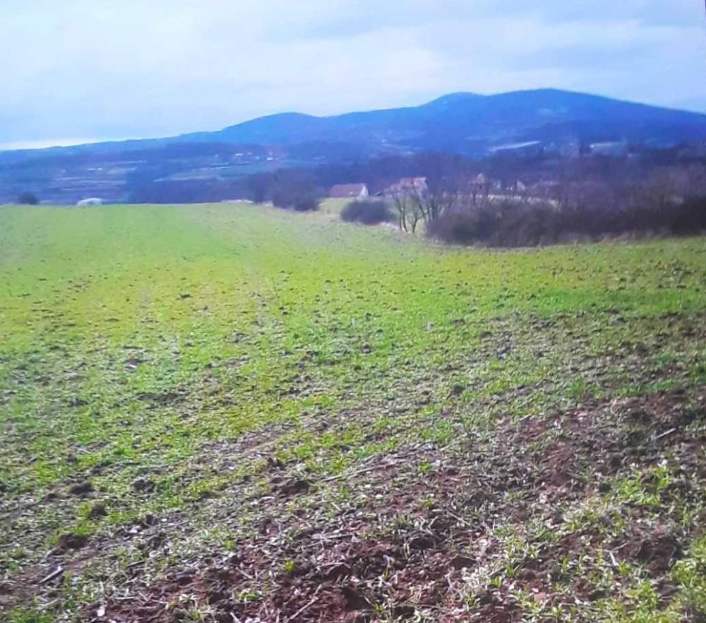 Slika 2 - Vlaska Plac na prodaju, Mladenovac, 0€