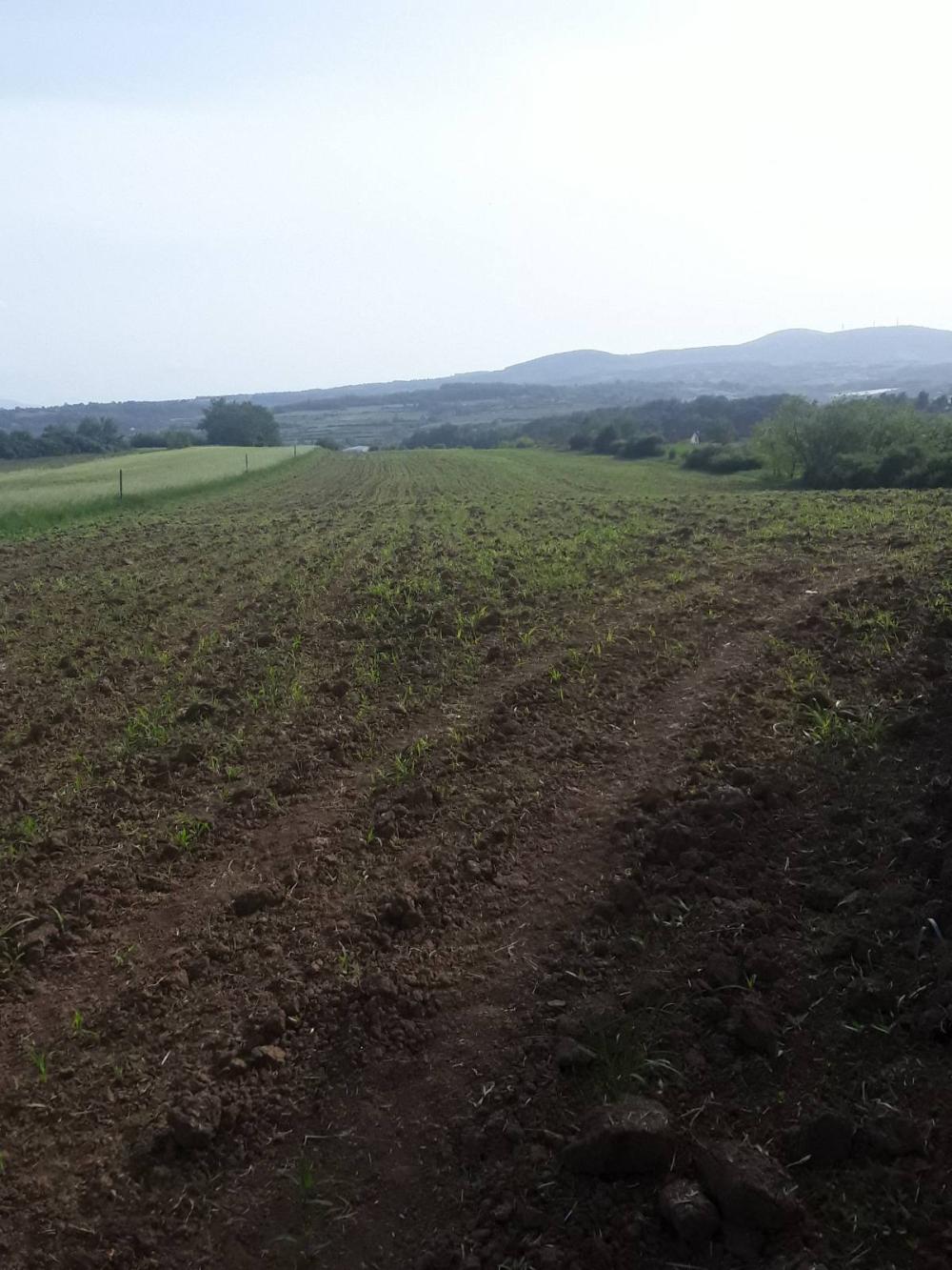 Slika 3 - Vlaska Plac na prodaju, Mladenovac, 0€