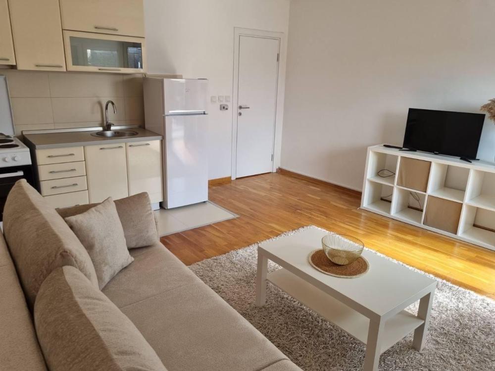 Slika 1 - Ilije Garasanina, Dvosoban stan za izdavanje, 54m2, 750€