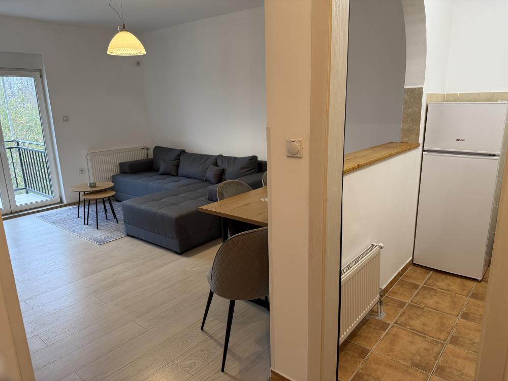 Slika 8 - Dositejeva, Dvosoban stan za izdavanje, 45m2, 450€