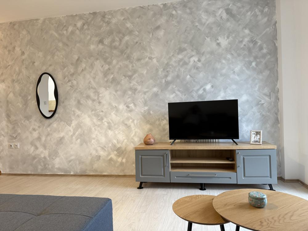 Slika 3 - Dositejeva, Dvosoban stan za izdavanje, 45m2, 450€