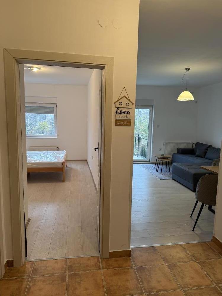 Slika 0 - Dositejeva, Dvosoban stan za izdavanje, 45m2, 450€