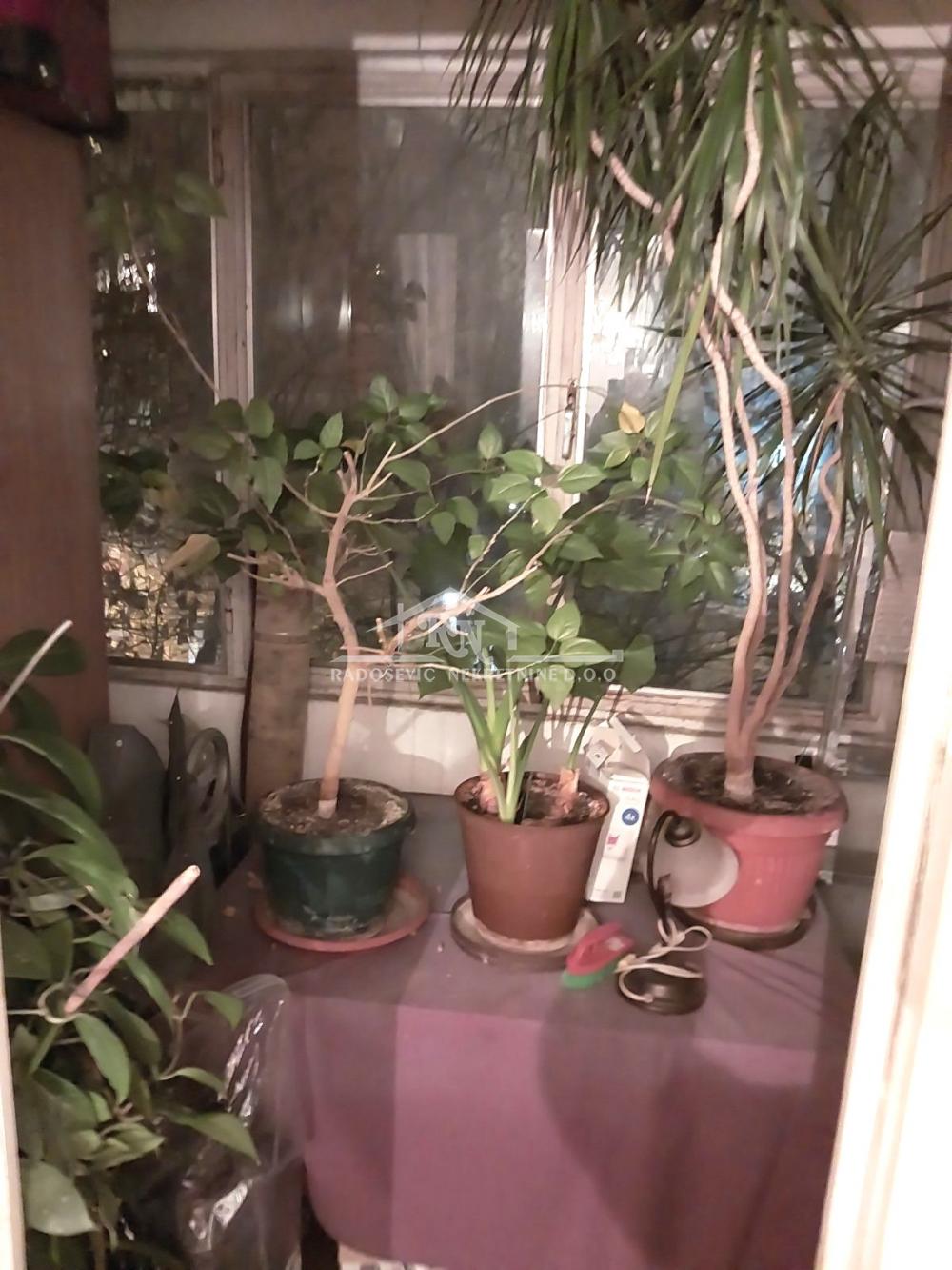 Slika 8 - Dragice Končar, Dvosoban stan na prodaju, 68m2, 155.000€