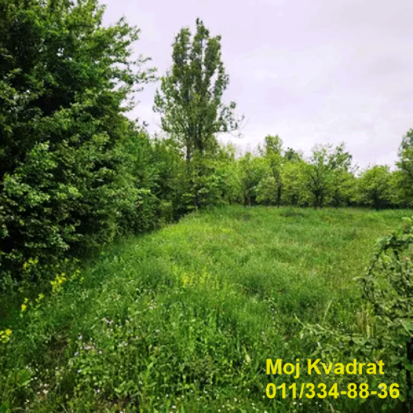 Glavna slika - Plac na prodaju, Palilula, Slanci, 80.000€